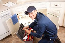 Best Garbage Disposal Repair and Installation  in Occidental, CA